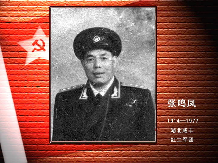 張鳴鳳.jpg
