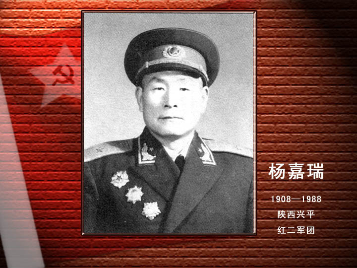 楊嘉瑞.jpg
