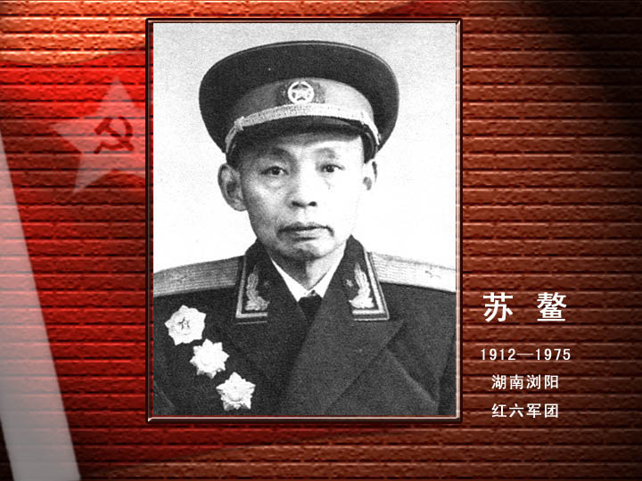 蘇 鰲.jpg
