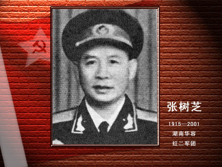 張樹芝.jpg