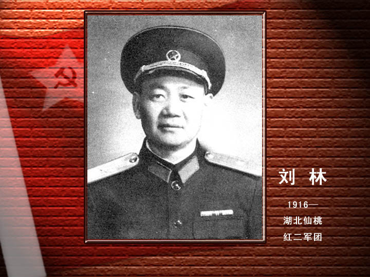劉 林.jpg