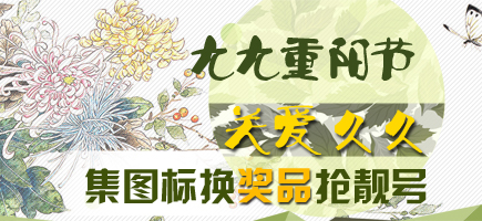重陽(yáng)節(jié)