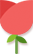 鮮花